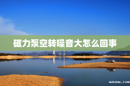 磁力泵空转噪音大怎么回事