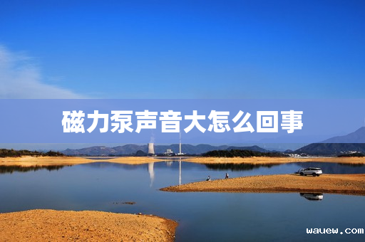 磁力泵声音大怎么回事