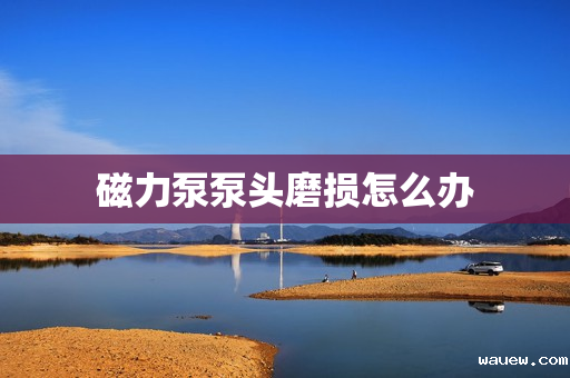 磁力泵泵头磨损怎么办