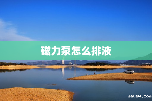 磁力泵怎么排液