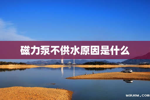 磁力泵不供水原因是什么