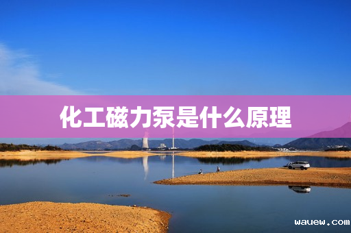 化工磁力泵是什么原理