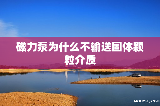 磁力泵为什么不输送固体颗粒介质