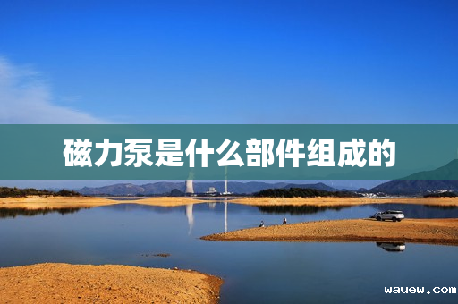 磁力泵是什么部件组成的