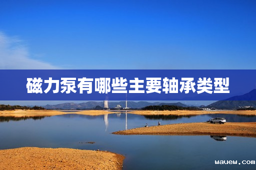 磁力泵有哪些主要轴承类型