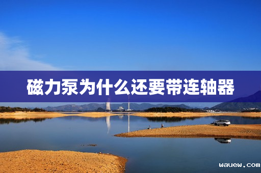磁力泵为什么还要带连轴器