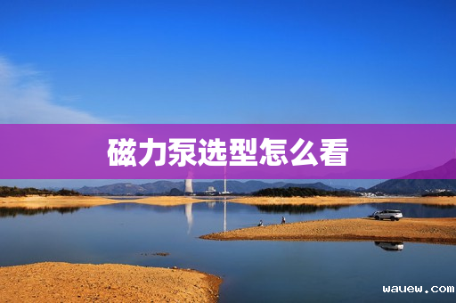 磁力泵选型怎么看