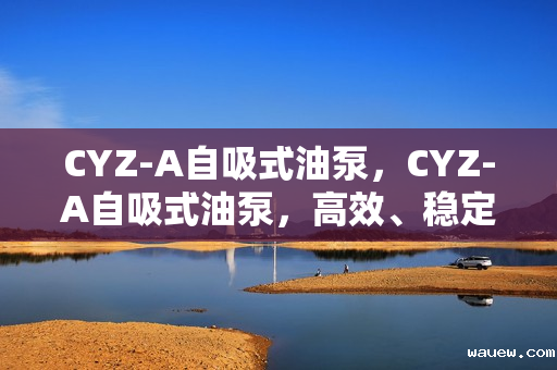 CYZ-A自吸式油泵，CYZ-A自吸式油泵，高效、稳定的自吸泵解决方案