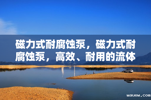 磁力式耐腐蚀泵，磁力式耐腐蚀泵，高效、耐用的流体输送解决方案