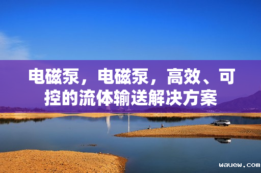 电磁泵，电磁泵，高效、可控的流体输送解决方案