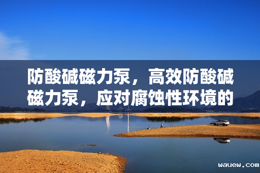 防酸碱磁力泵，高效防酸碱磁力泵，应对腐蚀性环境的理想选择