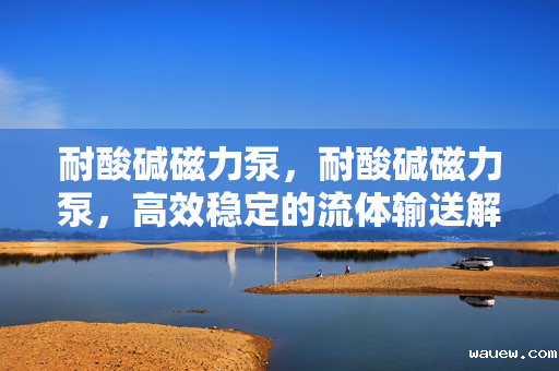 耐酸碱磁力泵，耐酸碱磁力泵，高效稳定的流体输送解决方案