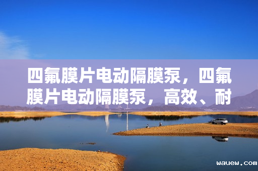 四氟膜片电动隔膜泵，四氟膜片电动隔膜泵，高效、耐腐蚀的流体输送解决方案