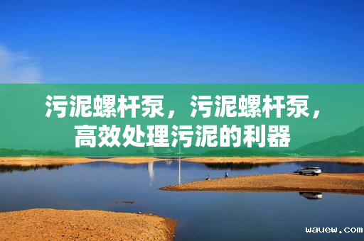 污泥螺杆泵，污泥螺杆泵，高效处理污泥的利器