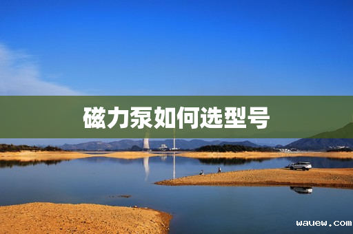 磁力泵如何选型号