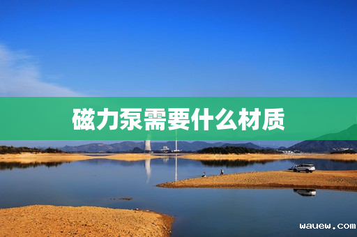 磁力泵需要什么材质