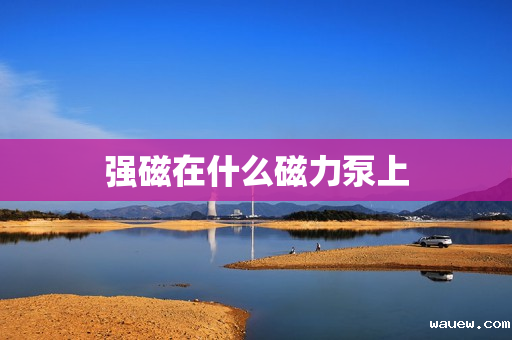 强磁在什么磁力泵上