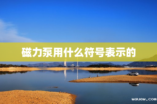 磁力泵用什么符号表示的