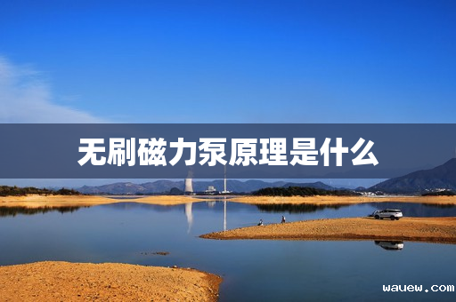 无刷磁力泵原理是什么