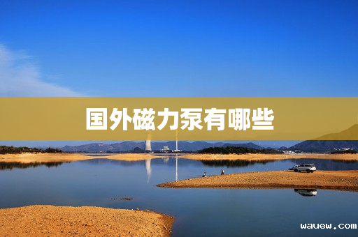 国外磁力泵有哪些