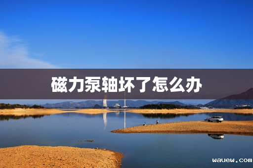 磁力泵轴坏了怎么办