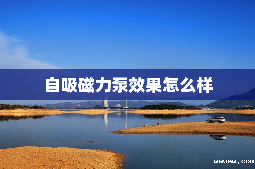 自吸磁力泵效果怎么样