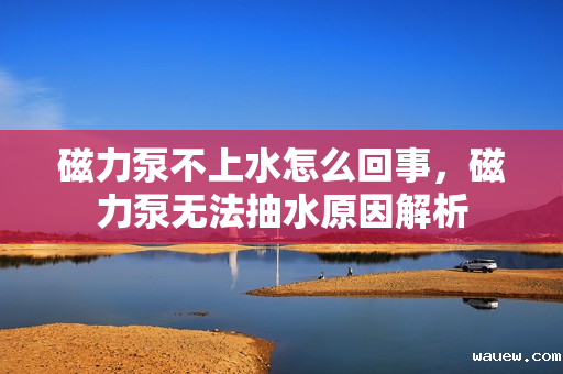 磁力泵不上水怎么回事，磁力泵无法抽水原因解析