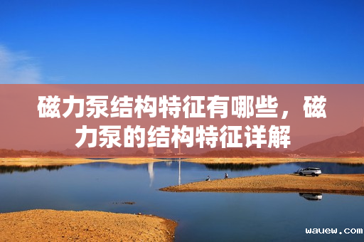 磁力泵结构特征有哪些，磁力泵的结构特征详解