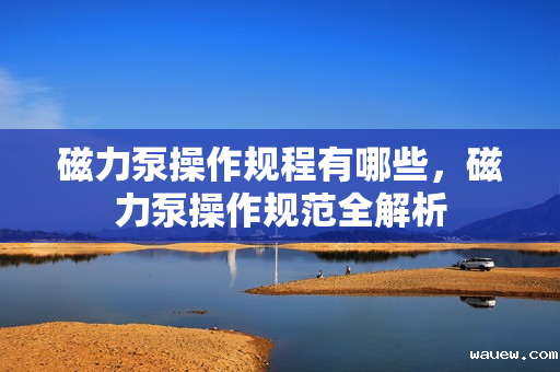 磁力泵操作规程有哪些，磁力泵操作规范全解析