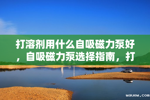 打溶剂用什么自吸磁力泵好，自吸磁力泵选择指南，打溶剂的理想之选