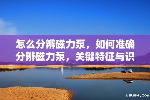 怎么分辨磁力泵，如何准确分辨磁力泵，关键特征与识别方法