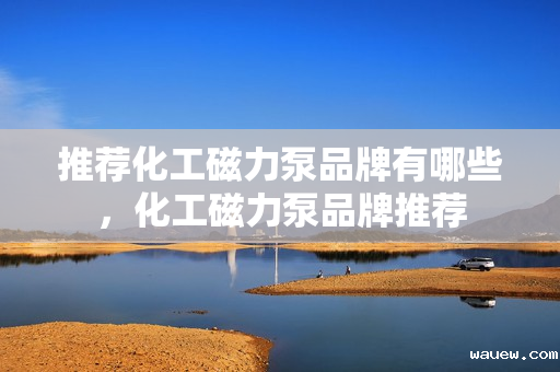 推荐化工磁力泵品牌有哪些，化工磁力泵品牌推荐