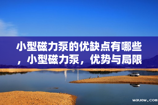 小型磁力泵的优缺点有哪些，小型磁力泵，优势与局限一览