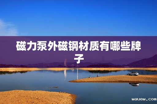 磁力泵外磁钢材质有哪些牌子