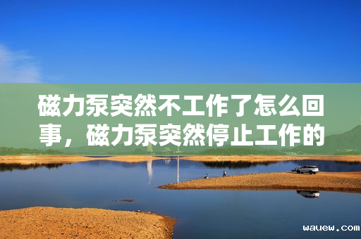 磁力泵突然不工作了怎么回事，磁力泵突然停止工作的可能原因及解决方法