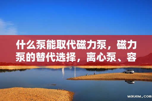 什么泵能取代磁力泵，磁力泵的替代选择，离心泵、容积泵等四种泵型介绍