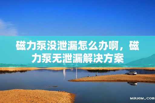 磁力泵没泄漏怎么办啊，磁力泵无泄漏解决方案