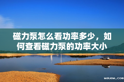 磁力泵怎么看功率多少，如何查看磁力泵的功率大小
