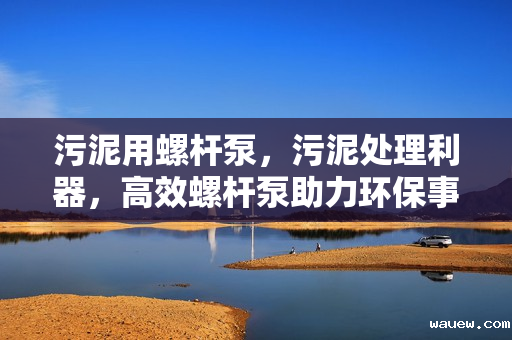 污泥用螺杆泵，污泥处理利器，高效螺杆泵助力环保事业