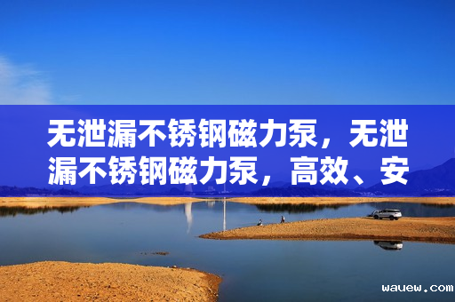 无泄漏不锈钢磁力泵，无泄漏不锈钢磁力泵，高效、安全、无泄漏的流体输送解决方案