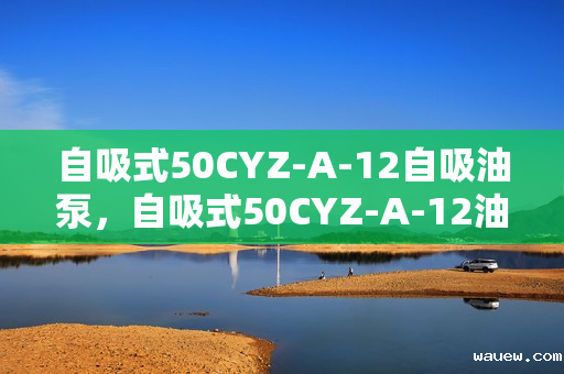 自吸式50CYZ-A-12自吸油泵，自吸式50CYZ-A-12油泵，高效自吸，轻松解决油泵难题