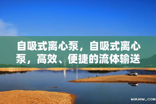 自吸式离心泵，自吸式离心泵，高效、便捷的流体输送解决方案