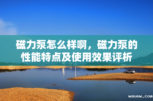 磁力泵怎么样啊，磁力泵的性能特点及使用效果评析