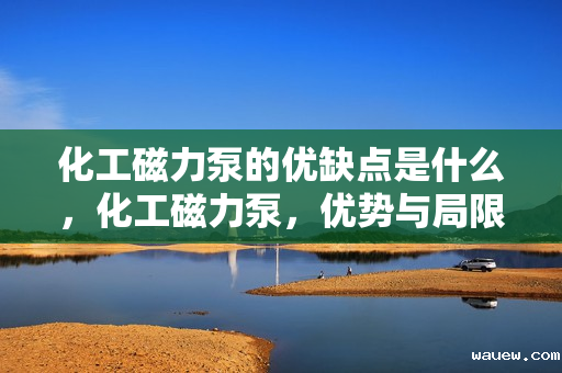 化工磁力泵的优缺点是什么，化工磁力泵，优势与局限一览