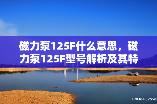 磁力泵125F什么意思，磁力泵125F型号解析及其特点