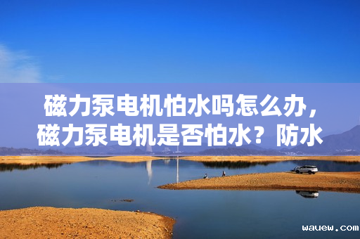 磁力泵电机怕水吗怎么办，磁力泵电机是否怕水？防水措施与解决方案