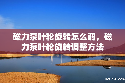 磁力泵叶轮旋转怎么调，磁力泵叶轮旋转调整方法