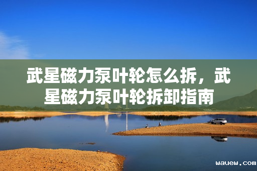 武星磁力泵叶轮怎么拆，武星磁力泵叶轮拆卸指南