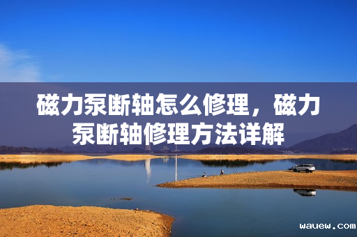 磁力泵断轴怎么修理，磁力泵断轴修理方法详解