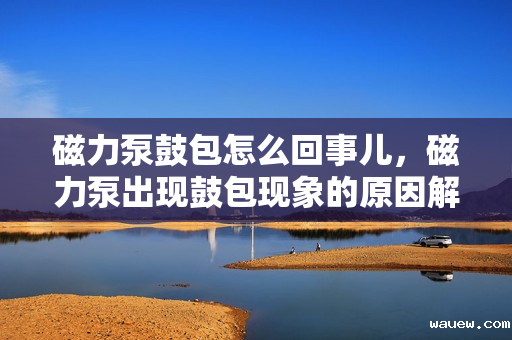 磁力泵鼓包怎么回事儿，磁力泵出现鼓包现象的原因解析